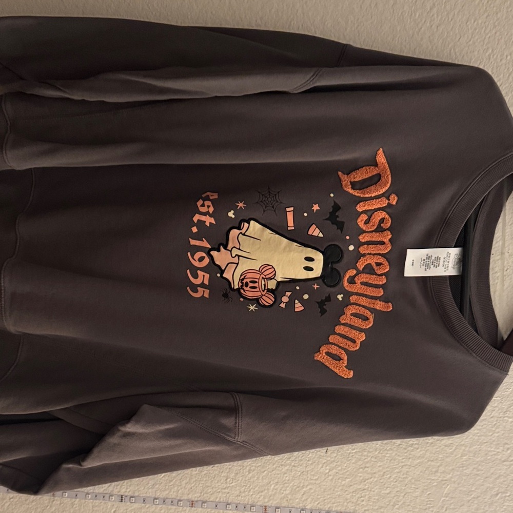 Disney Charcoal Sweatshirt